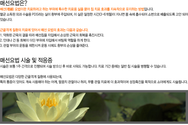 �ż������? �ż���� �ü� �� ������